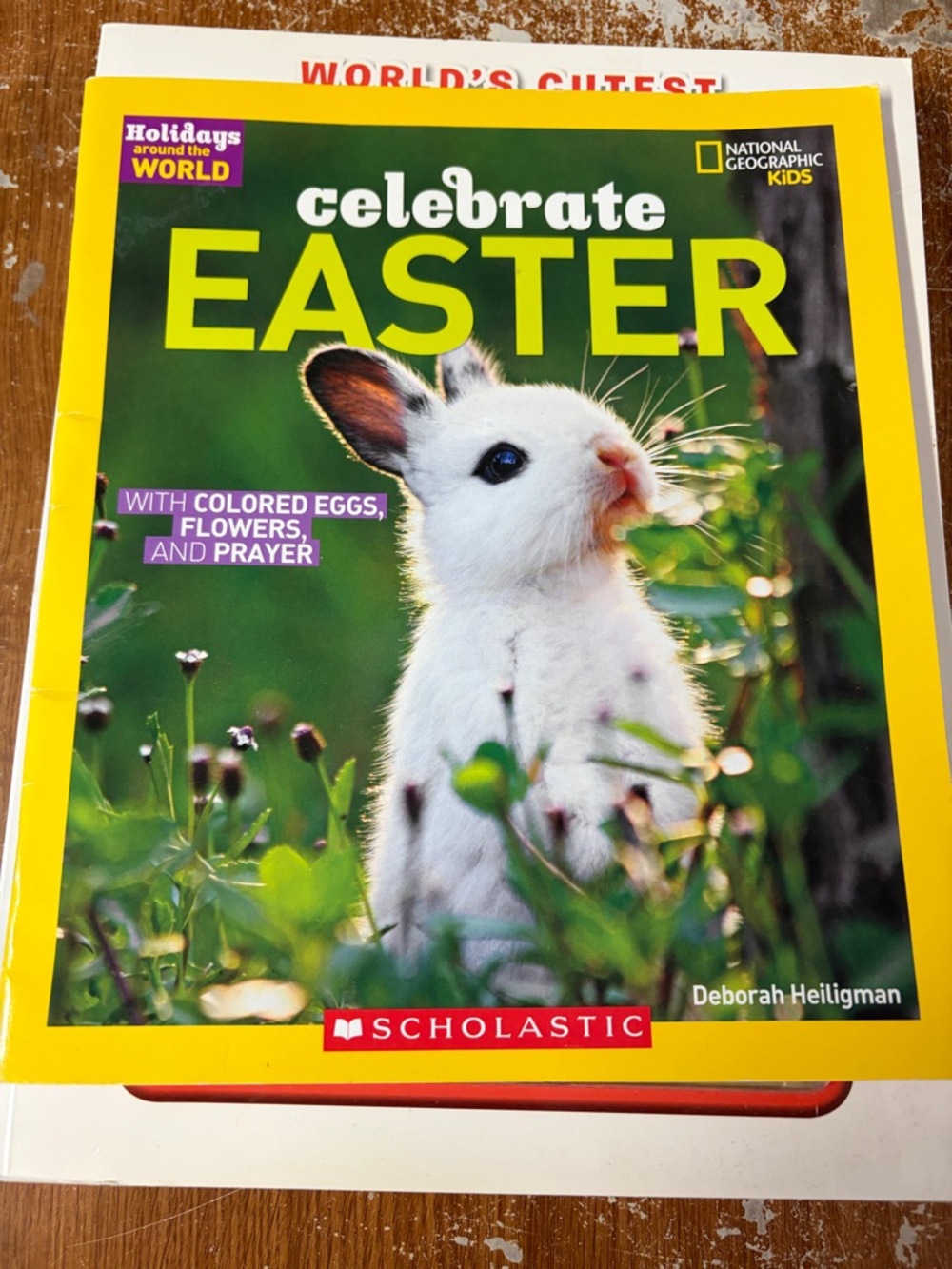 National Geographic and 3d animal books. 11 books - Picture 6 of 12